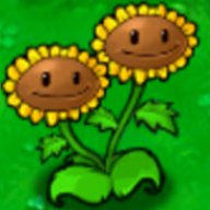 Double Sunflower