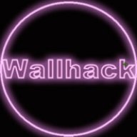 Wallhack